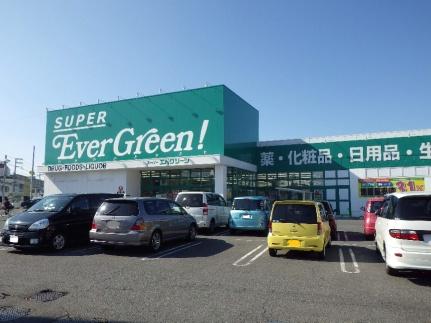 画像18:エバグリーン阪南店(スーパー)まで480m