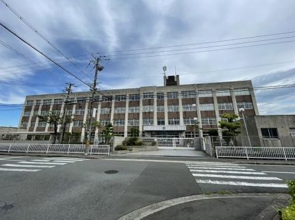 画像12:南大津小学校(小学校)まで325m