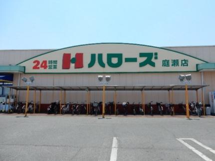 画像18:ハローズ庭瀬店(スーパー)まで169m