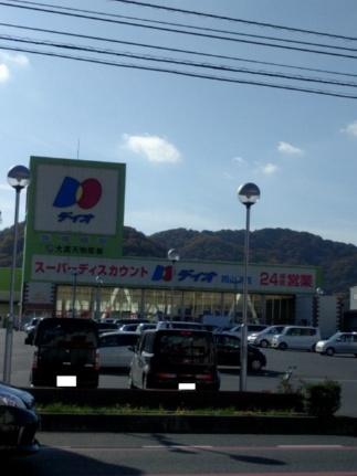 画像17:ディオ岡山東店(スーパー)まで1084m