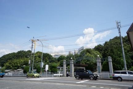 画像7:岡山学院大学岡山短期大学(大学・短大)まで423m
