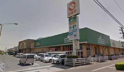 画像17:ニシナフードバスケット堀南店(スーパー)まで774m