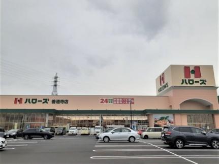 画像14:ハローズ善通寺店(スーパー)まで650m