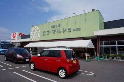 画像18:エフマルシェ　古川店(スーパー)まで463m